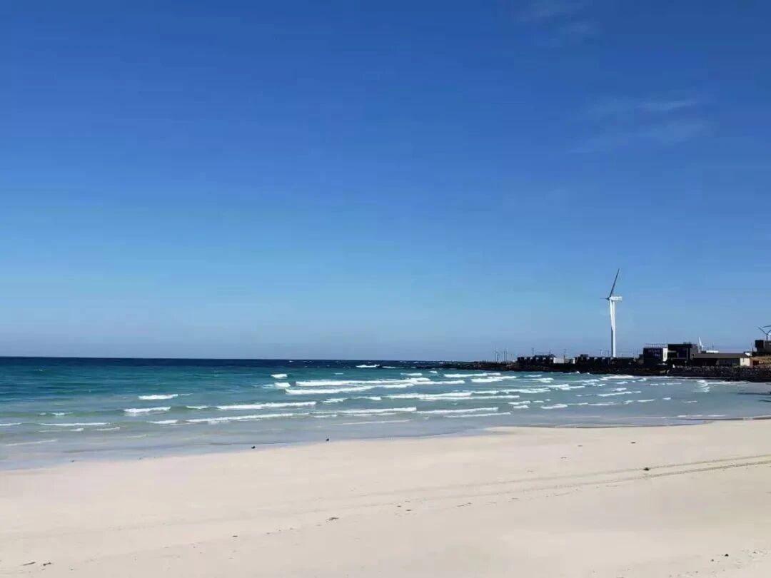 十年相伴，濟州同行 |2025年 通錦精密老員工七夕韓國之旅圓滿收官！