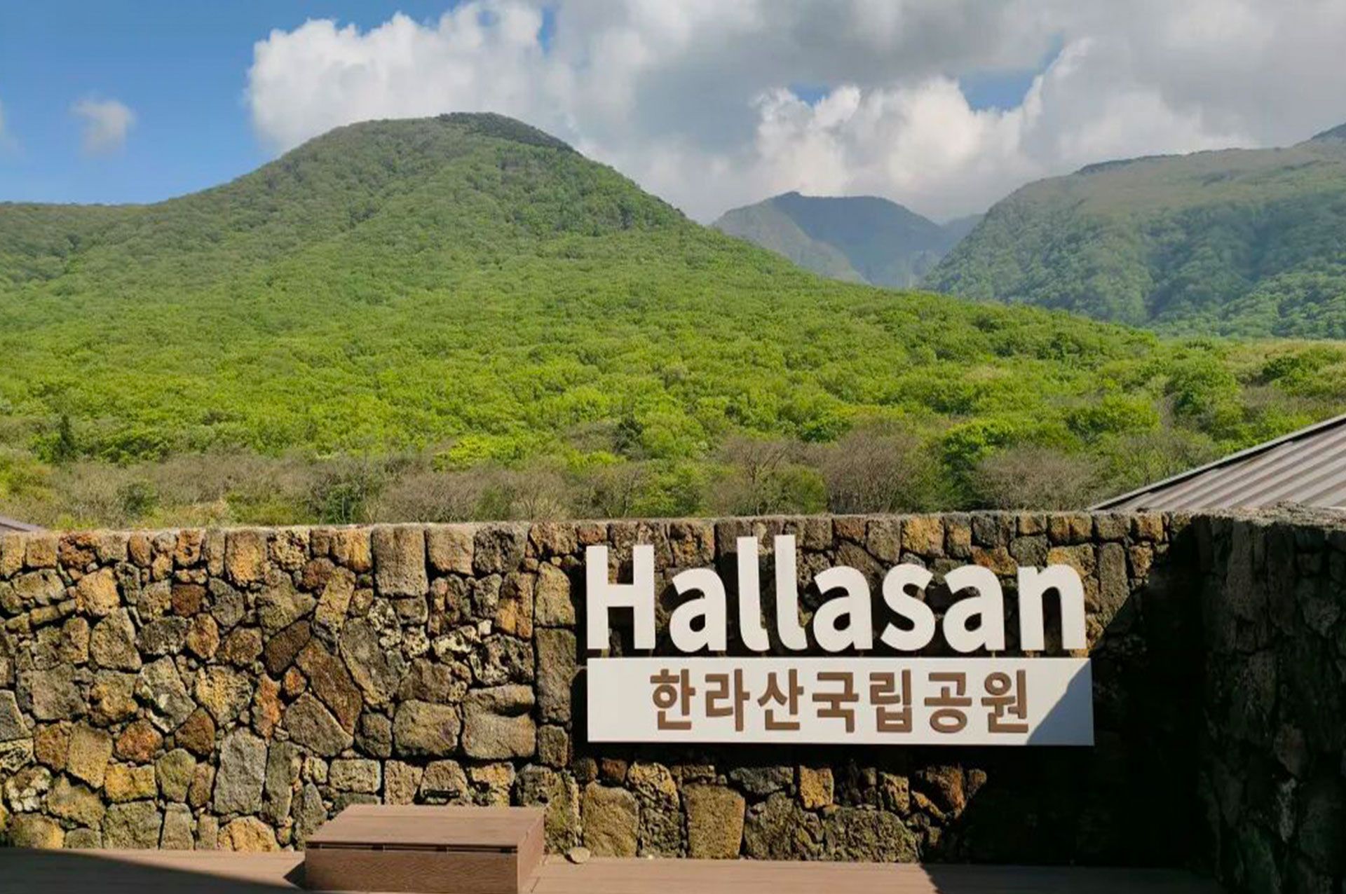 十年相伴，濟州同行 |2025年 通錦精密老員工七夕韓國之旅圓滿收官！